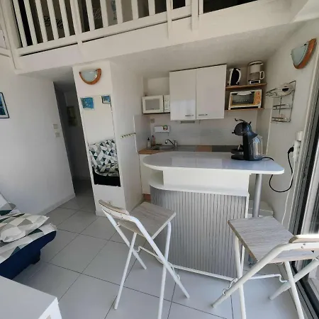 Apartment T2 Avec Piscine, Parking Et Terrasse Vue Au Cap D'agde - Fr-1-607-45 *